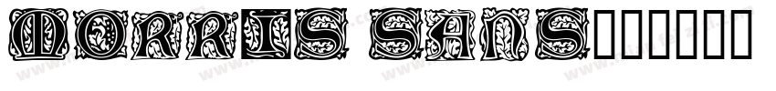 Morris Sans字体转换